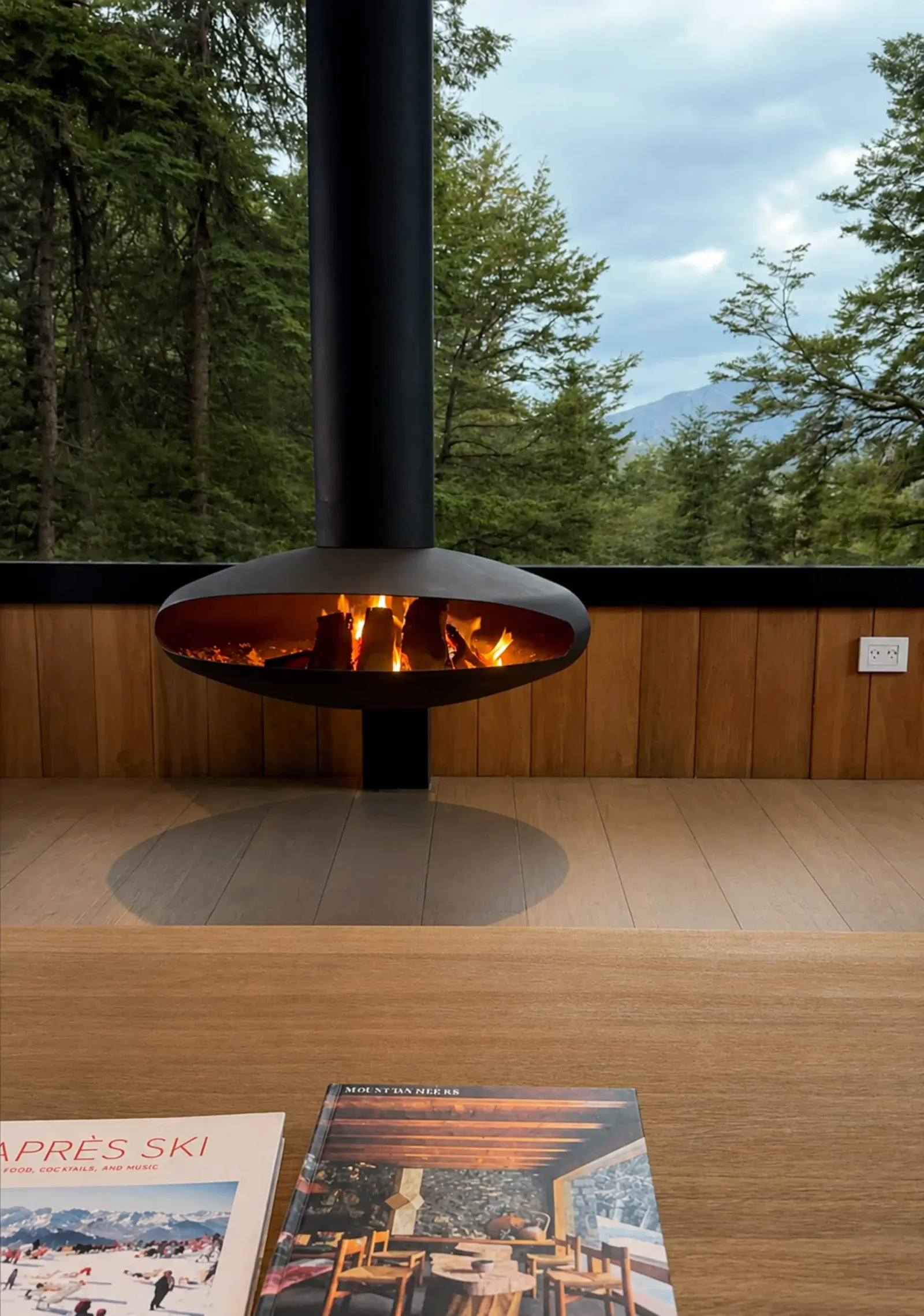 Suspended wood-burning fireplace glowing against the forest view