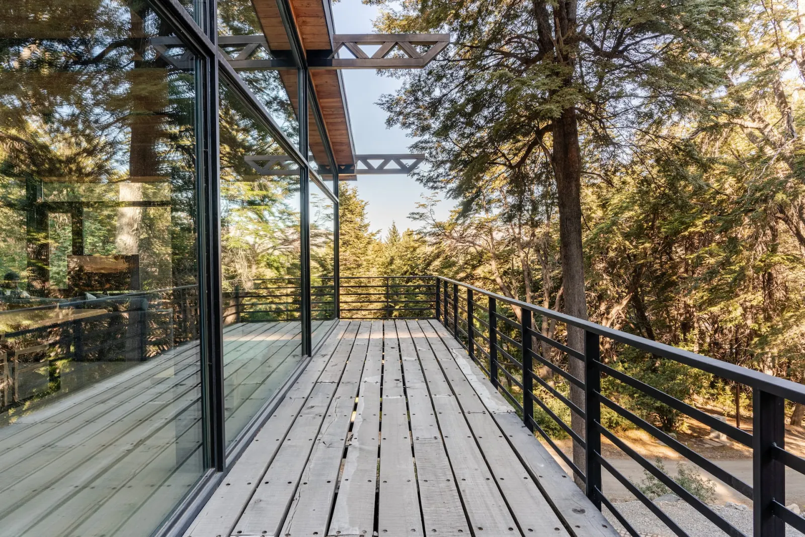 Timber deck suspended among native Patagonian trees