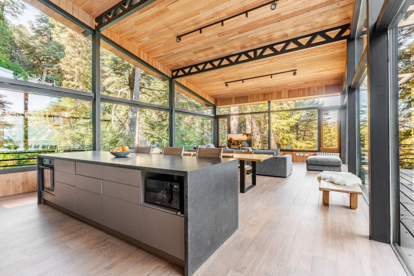 Open modern kitchen overlooking the forest